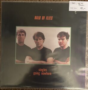 HALO OF FLIES