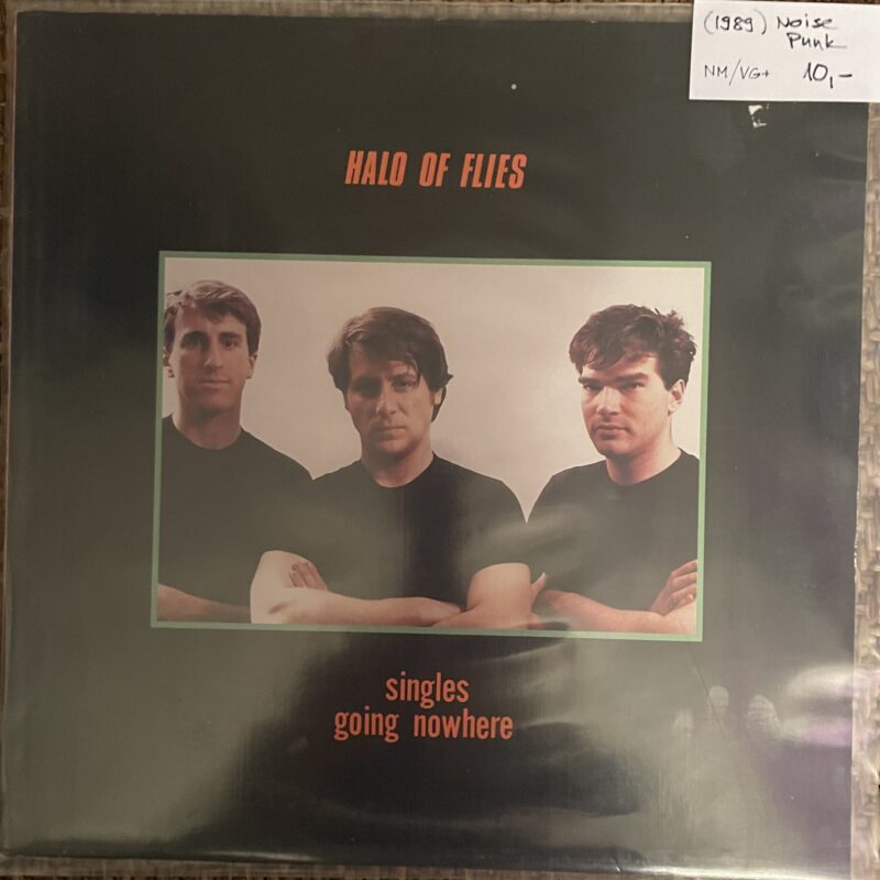 HALO OF FLIES